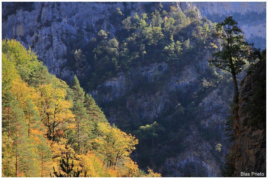 Apartamentos Turisticos Rurales Monte De Las Animas Valdepenas de Jaen Luaran gambar