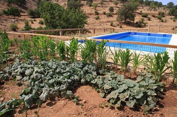 Apartamentos Turisticos Rurales Monte De Las Animas Valdepenas de Jaen Luaran gambar